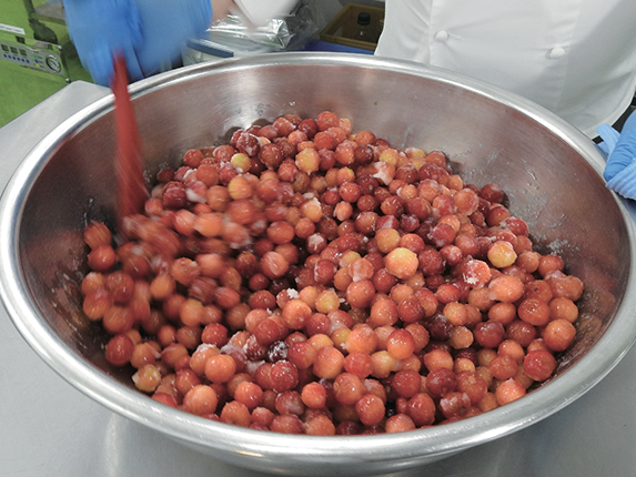 山形ジェラート プレミアムさくらんぼ | 株式会社しょくどう